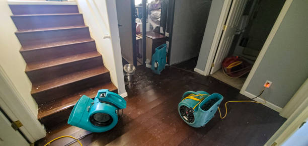 Best Water damage restoration mold remediation  in Ofallon, MO