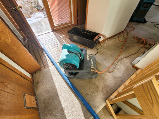 Best Water damage restoration near me  in Ofallon, MO
