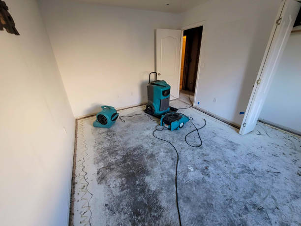Best Ceiling water damage repair  in Ofallon, MO