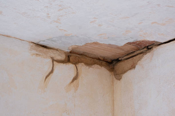 Best Flood damage cleanup  in Ofallon, MO