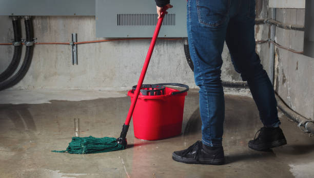 Best Basement water damage restoration  in Ofallon, MO