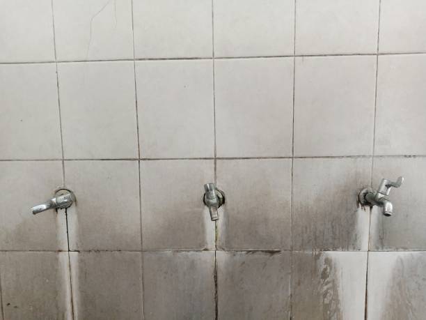 Best Fire Damage Restoration  in Ofallon, MO