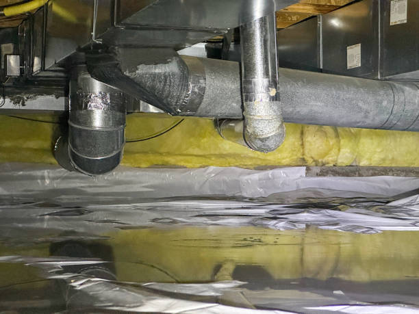 Best Emergency water damage restoration  in Ofallon, MO