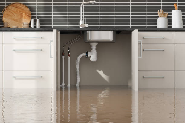 Best Water damage cleanup near me  in Ofallon, MO
