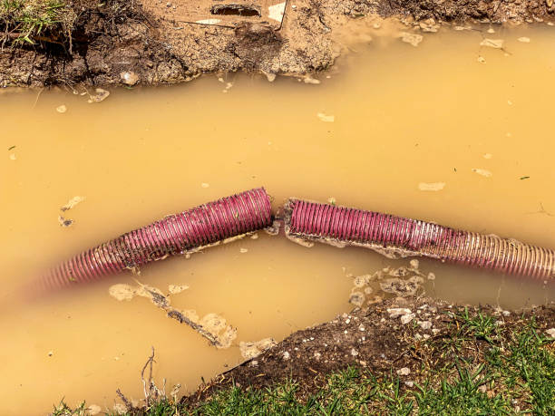 Best Water damage restoration near me  in Ofallon, MO